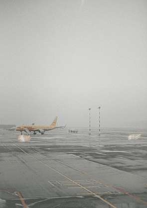 Snel en veilig internationaal verzenden